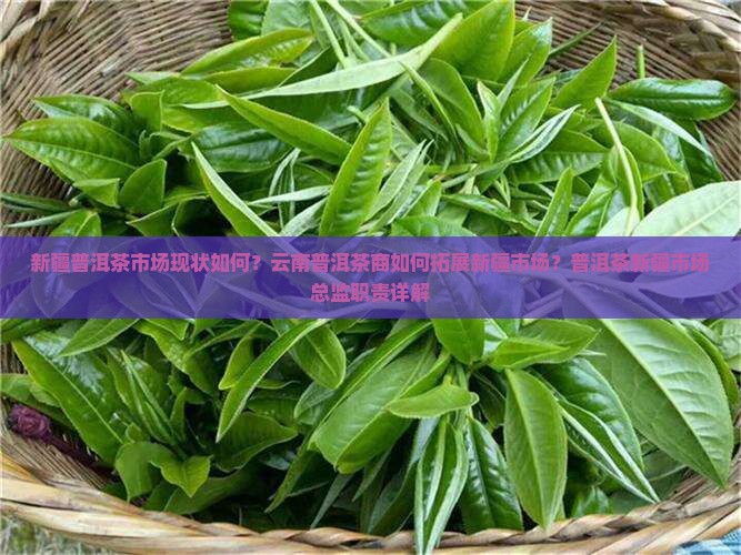新疆普洱茶市场现状如何？云南普洱茶商如何拓展新疆市场？普洱茶新疆市场总监职责详解