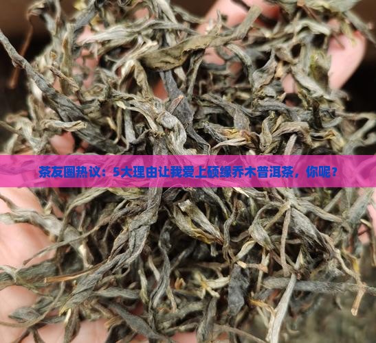 茶友圈热议：5大理由让我爱上硕缘乔木普洱茶，你呢？