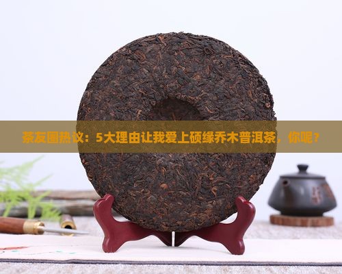 茶友圈热议：5大理由让我爱上硕缘乔木普洱茶，你呢？