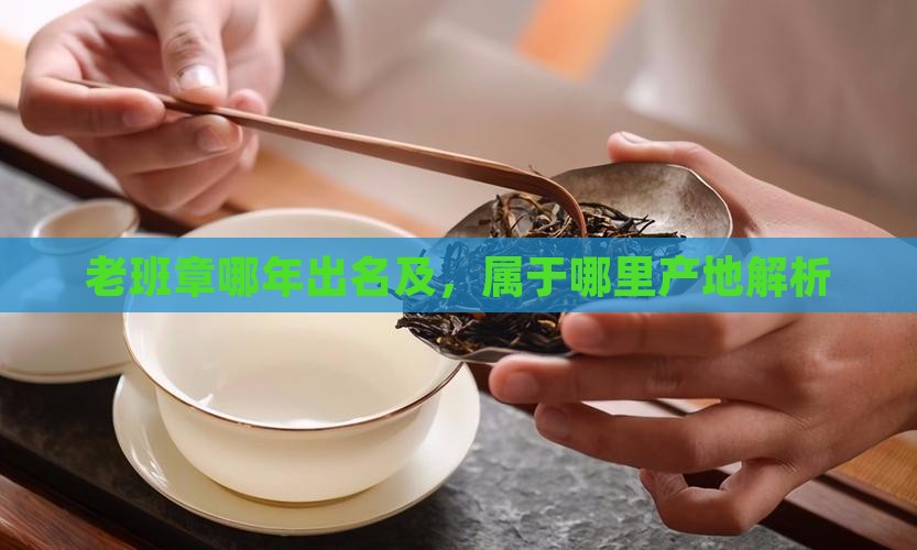 老班章哪年出名及，属于哪里产地解析