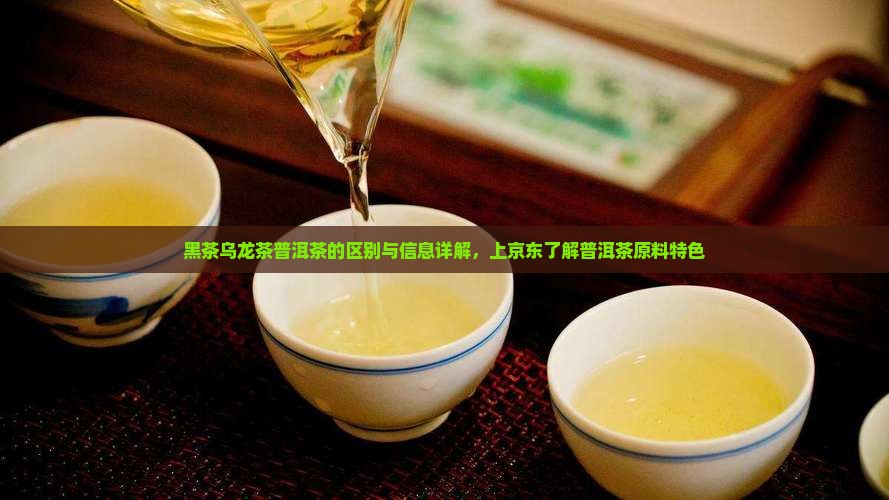 黑茶乌龙茶普洱茶的区别与信息详解，上京东了解普洱茶原料特色