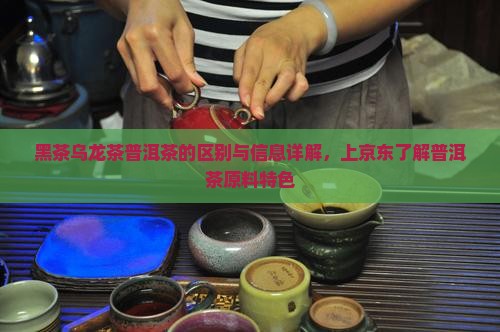 黑茶乌龙茶普洱茶的区别与信息详解，上京东了解普洱茶原料特色