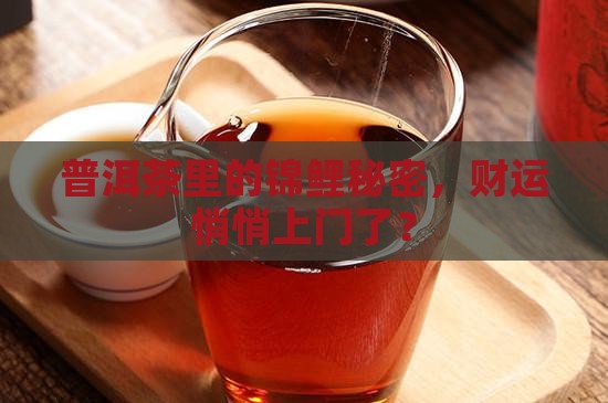 普洱茶里的锦鲤秘密，财运悄悄上门了？