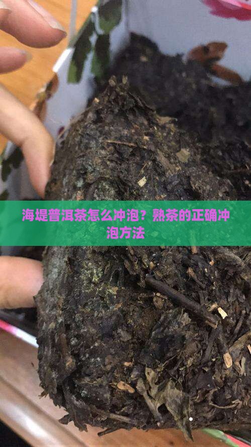 海堤普洱茶怎么冲泡？熟茶的正确冲泡方法