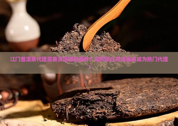 江门普洱茶代理需要满足哪些条件？如何抓住市场痛点成为热门代理？