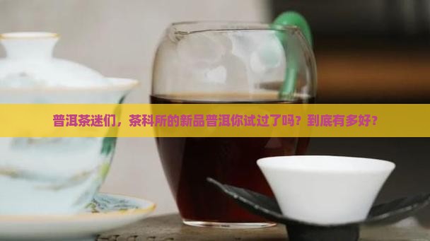 普洱茶迷们，茶科所的新品普洱你试过了吗？到底有多好？