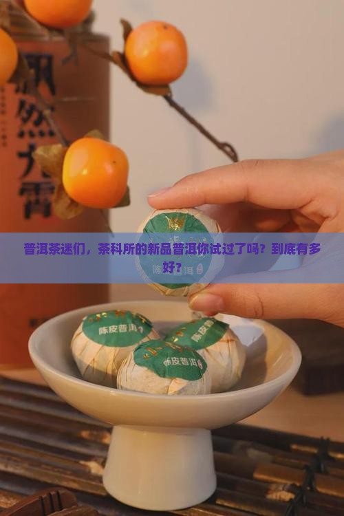 普洱茶迷们，茶科所的新品普洱你试过了吗？到底有多好？