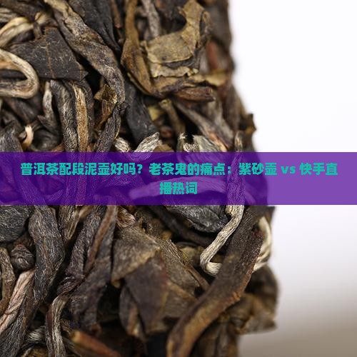 普洱茶配段泥壶好吗？老茶鬼的痛点：紫砂壶 vs 快手直播热词