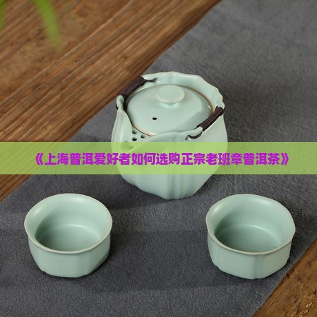 《上海普洱爱好者如何选购正宗老班章普洱茶》