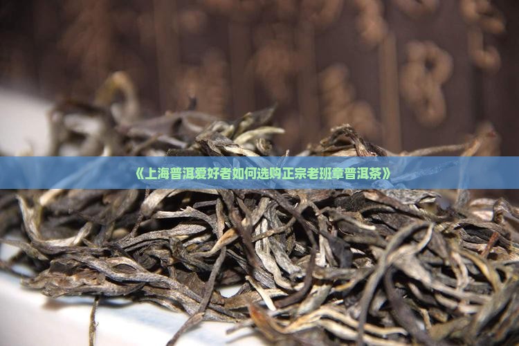 《上海普洱爱好者如何选购正宗老班章普洱茶》