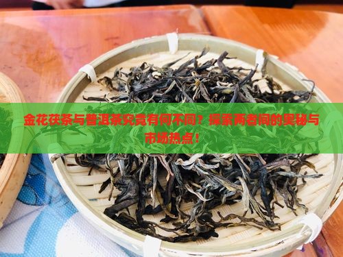 金花茯茶与普洱茶究竟有何不同？探索两者间的奥秘与市场热点！