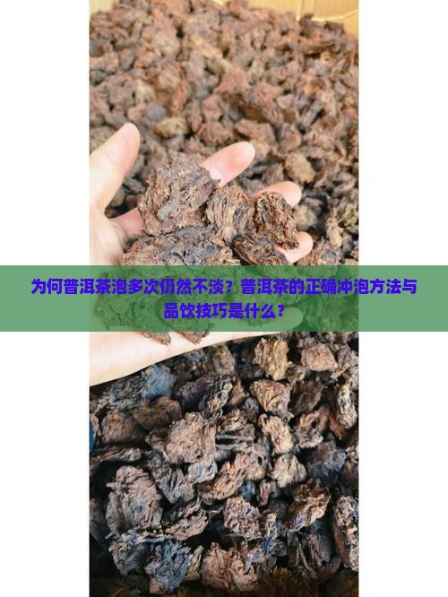 为何普洱茶泡多次仍然不淡?普洱茶的正确冲泡方法与品饮技巧是什么? 为何普洱茶泡多次仍然不淡?普洱茶的正确冲泡方法与品饮技巧是什么?