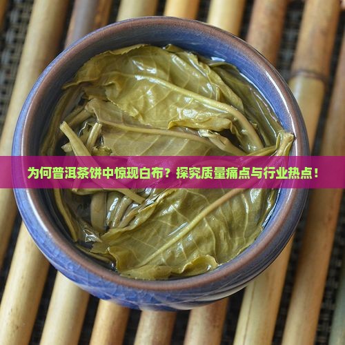 为何普洱茶饼中惊现白布？探究质量痛点与行业热点！