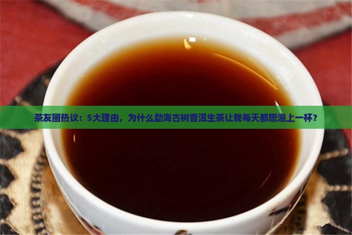 茶友圈热议：5大理由，为什么勐海古树普洱生茶让我每天都想泡上一杯？