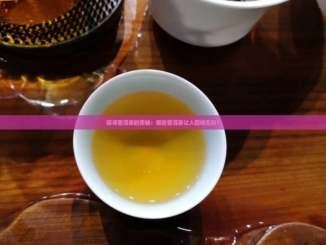 探寻普洱茶的奥秘：哪些普洱茶让人回味无穷？