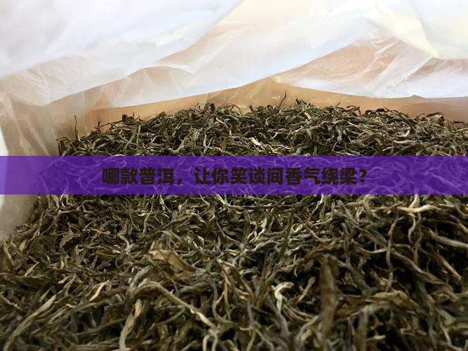 哪款普洱，让你笑谈间香气绕梁？