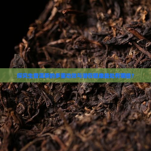 探究生普洱茶的多重功效与潜在健康益处有哪些？