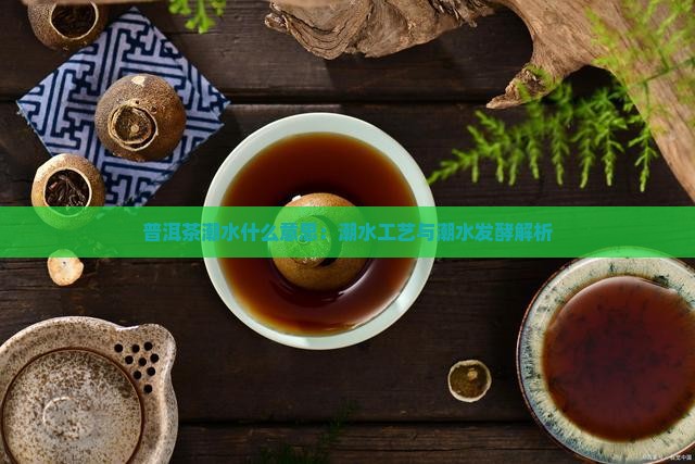 普洱茶潮水什么意思：潮水工艺与潮水发酵解析