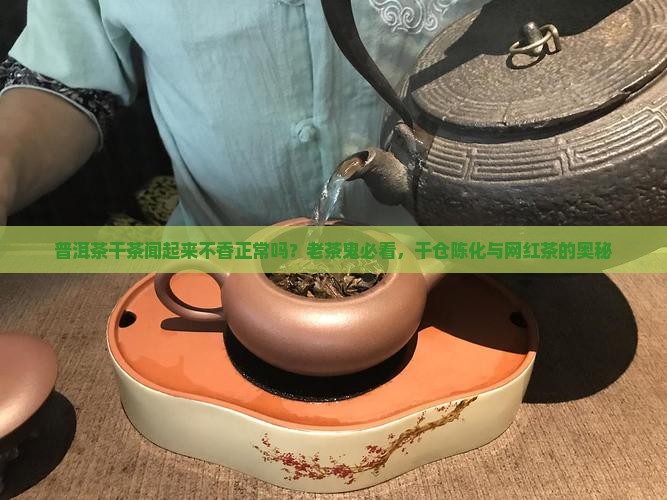 普洱茶干茶闻起来不香正常吗？老茶鬼必看，干仓陈化与网红茶的奥秘