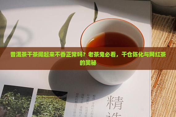 普洱茶干茶闻起来不香正常吗？老茶鬼必看，干仓陈化与网红茶的奥秘