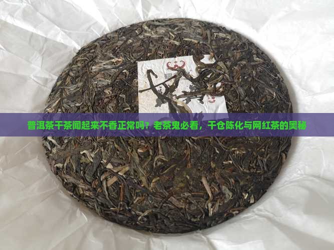 普洱茶干茶闻起来不香正常吗？老茶鬼必看，干仓陈化与网红茶的奥秘