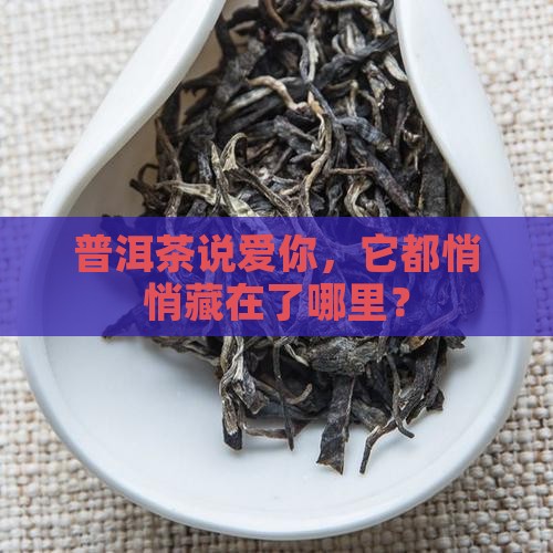 普洱茶说爱你，它都悄悄藏在了哪里？
