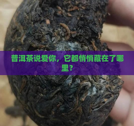 普洱茶说爱你，它都悄悄藏在了哪里？
