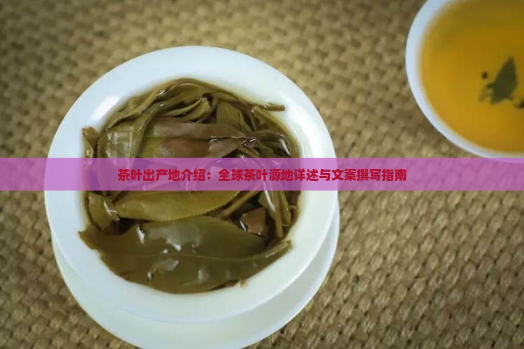 茶叶出产地介绍：全球茶叶源地详述与文案撰写指南