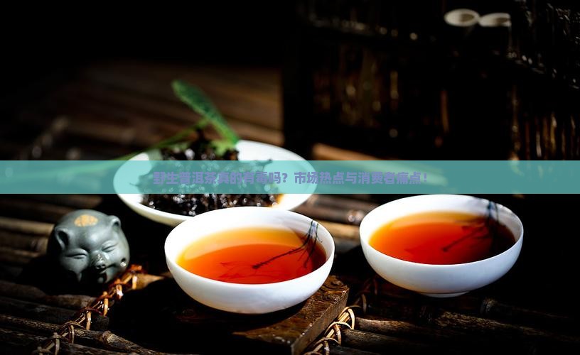 野生普洱茶真的有毒吗？市场热点与消费者痛点！