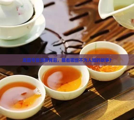 龙圆号普洱茶背后，藏着哪些不为人知的故事？