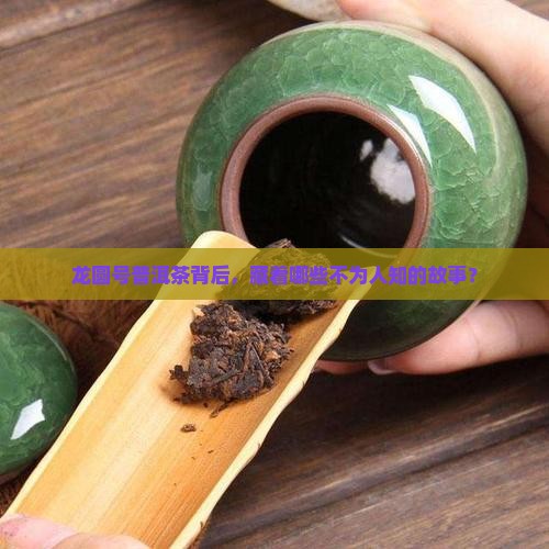 龙圆号普洱茶背后，藏着哪些不为人知的故事？