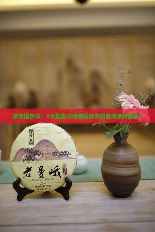 茶友圈热议：5大理由为何南镜秋天的普洱茶特别香？