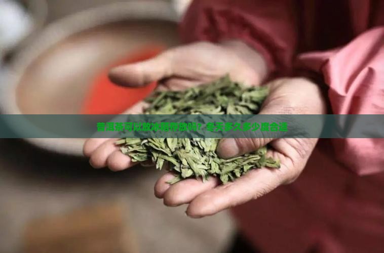 普洱茶可以放冰箱存放吗？冬天多久多少度合适