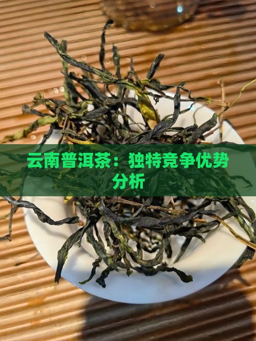 云南普洱茶：独特竞争优势分析