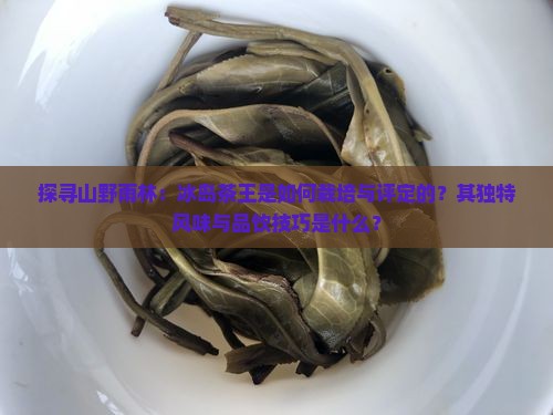 探寻山野雨林：冰岛茶王是如何栽培与评定的？其独特风味与品饮技巧是什么？