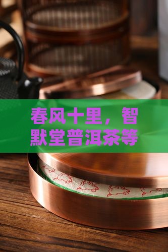 春风十里，智默堂普洱茶等你来品！