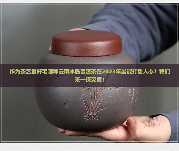 作为茶艺爱好宅哪种云南冰岛普洱茶在2023年最能打动人心？我们来一探究竟！