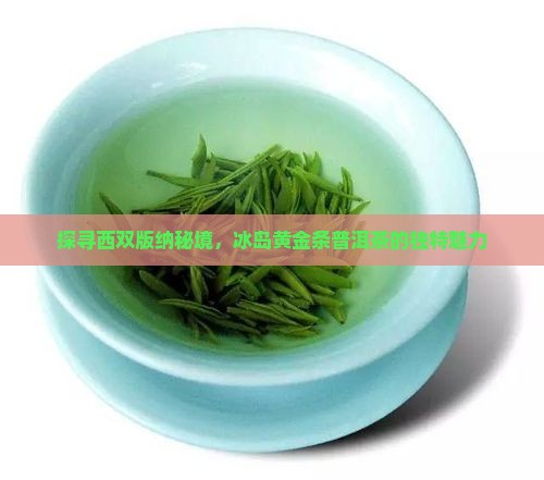 探寻西双版纳秘境，冰岛黄金条普洱茶的独特魅力