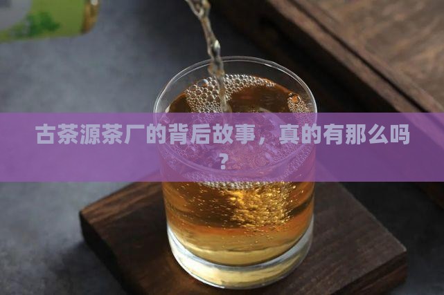 古茶源茶厂的背后故事，真的有那么吗？