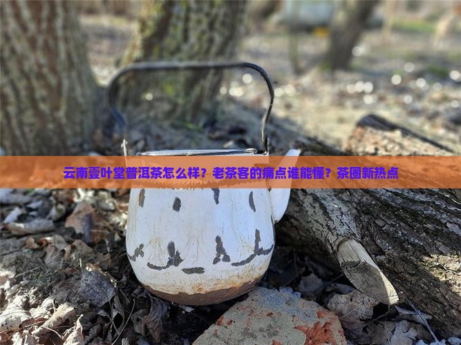云南壹叶堂普洱茶怎么样？老茶客的痛点谁能懂？茶圈新热点