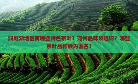 洞庭湖地区有哪些特色茶叶？如何品味及选购？哪些茶叶品种最为著名？