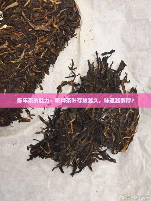 陈年茶的魅力：哪种茶叶存放越久，味道越醇厚？