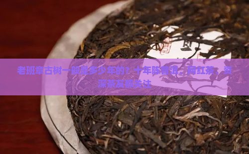 老班章古树一般是多少年的？十年陈普洱、网红茶、资深茶友都关注