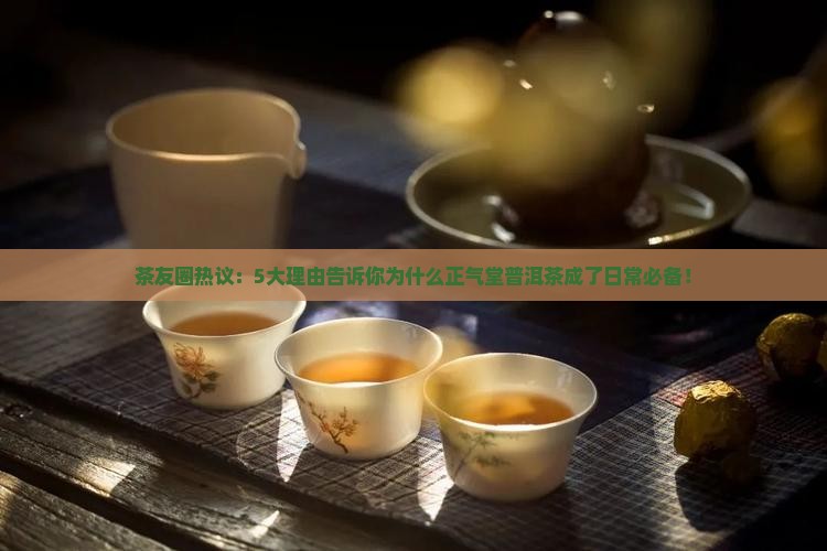 茶友圈热议：5大理由告诉你为什么正气堂普洱茶成了日常必备！