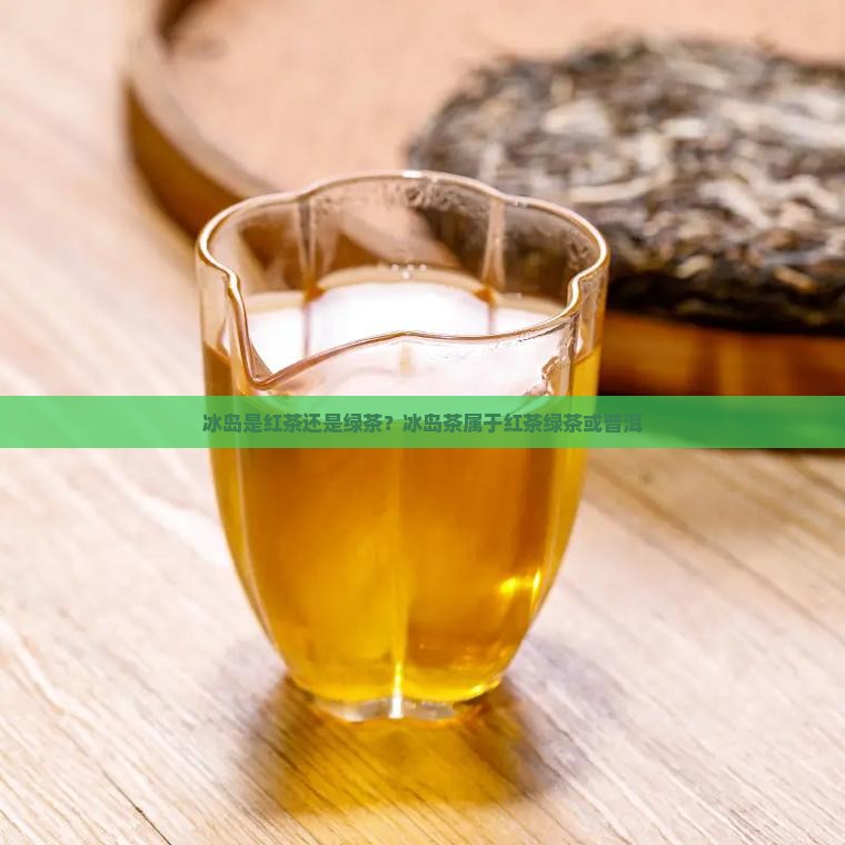 冰岛是红茶还是绿茶？冰岛茶属于红茶绿茶或普洱