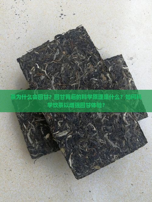 茶为什么会回甘？回甘背后的科学原理是什么？如何科学饮茶以增强回甘体验？