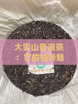 大雪山普洱茶：它的独特魅力到底值多少钱？