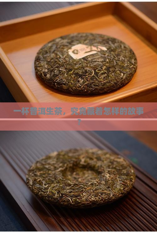 一杯普洱生茶，究竟藏着怎样的故事？