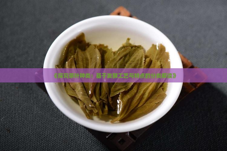 《探究茶叶种类：基于发酵工艺与特点的分类解读》