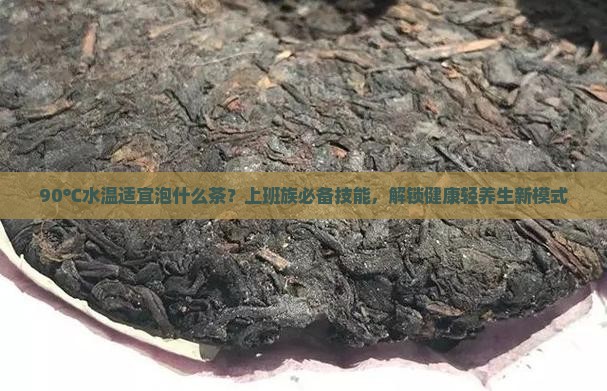90℃水温适宜泡什么茶？上班族必备技能，解锁健康轻养生新模式